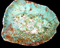 Real turquoise. Compare to the soap rock.